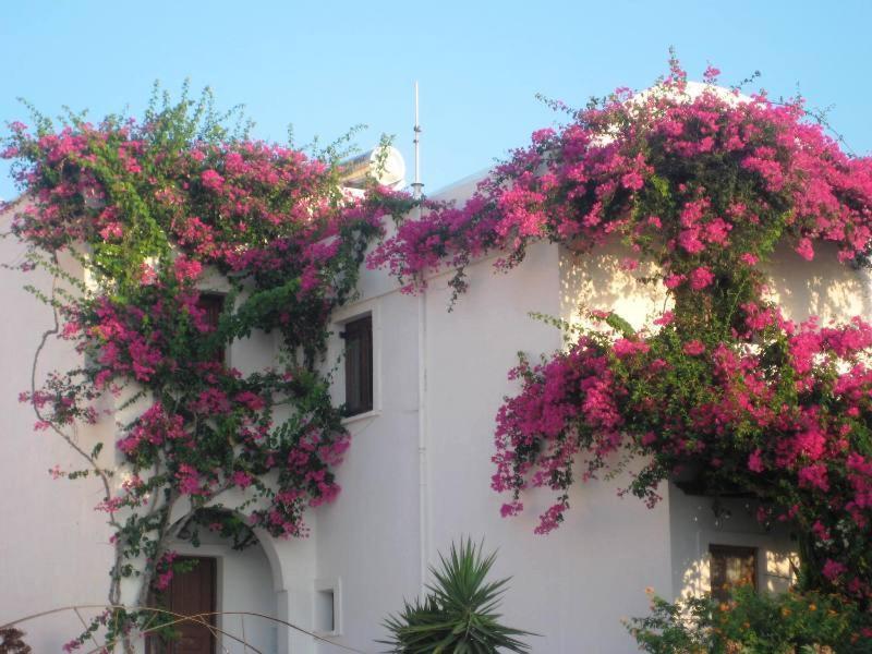 Vocamvilia Apartments Kamári Exterior foto